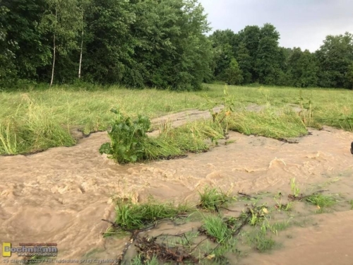 106697191 3100671376720572 7075837343902197218 n