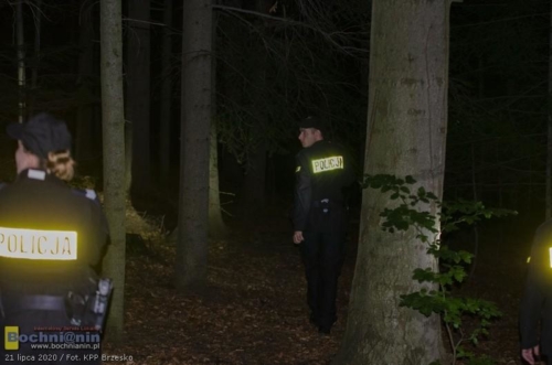 policjanci w lesie w trakcie poszukiwań zaginionego