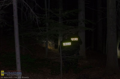 policjanci w porze nocnej w kompleksie leśnym w trakcie poszukiwań zaginionego